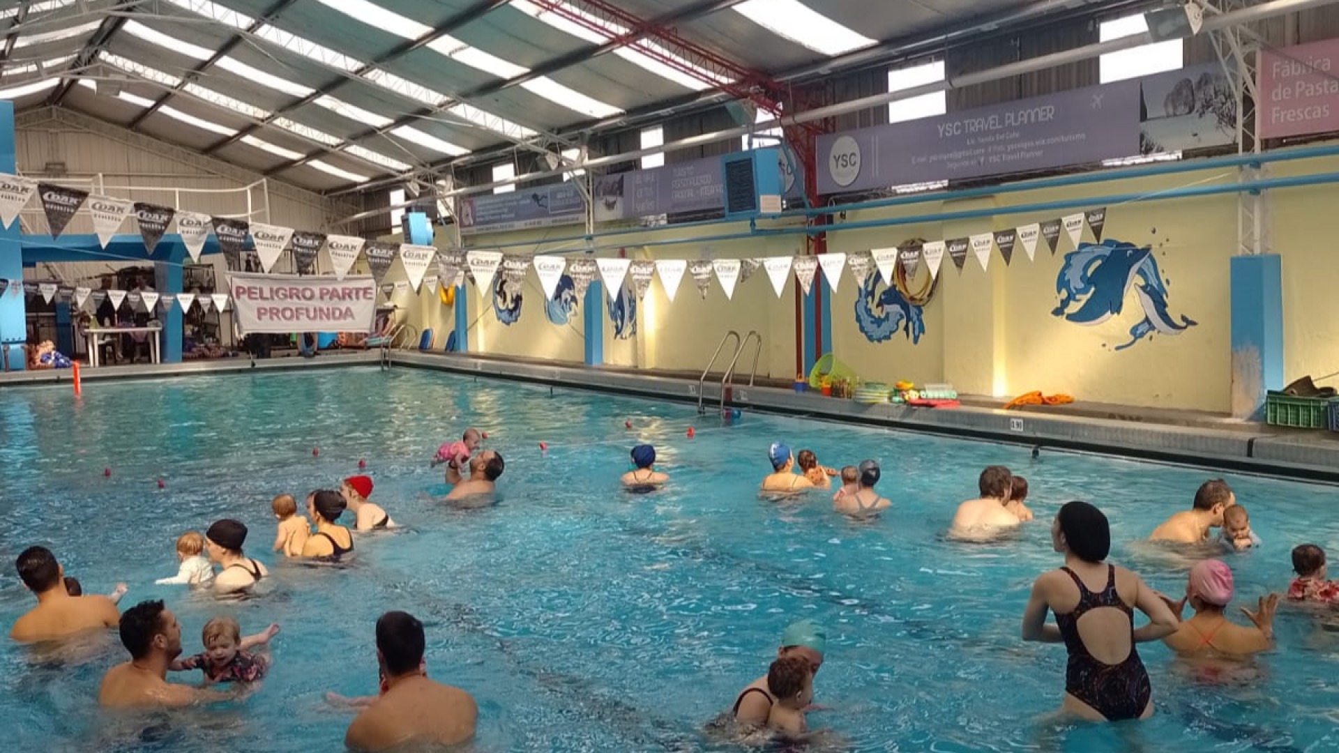 Celebración Acuática: Muestra de fin de año